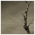 805.gif
